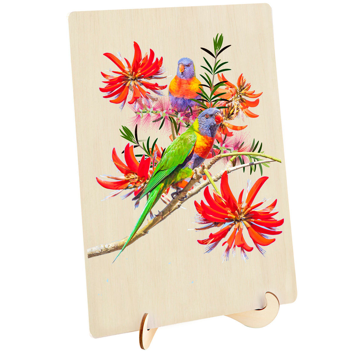 Two colourful lorikeets and vibrant red flowers printed on a wooden plaque display