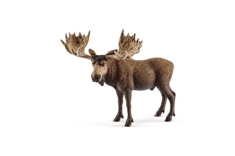 Schleich - Moose Bull - Good Games