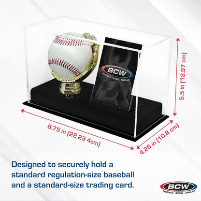 Back view highlighting assembly and components of the BCW gold glove display case