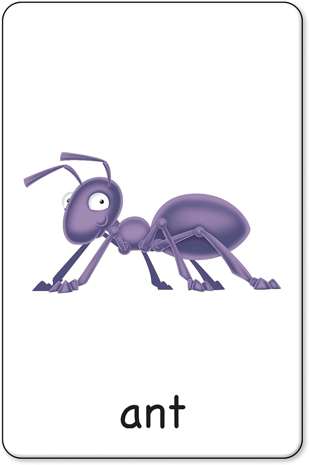 Cartoon purple ant on a white flashcard with the lowercase word "ant" written below