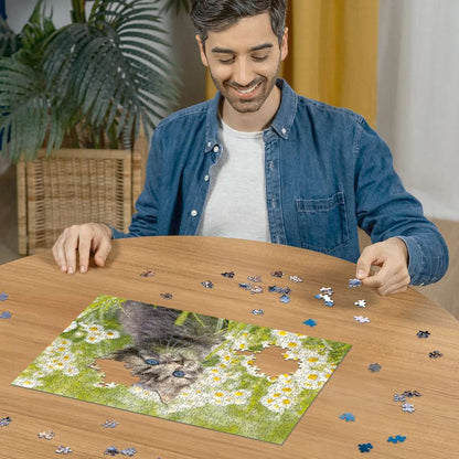 Ravensburger - Kitten in the Meadow - 500 piece jigsaw New Version - Good Games