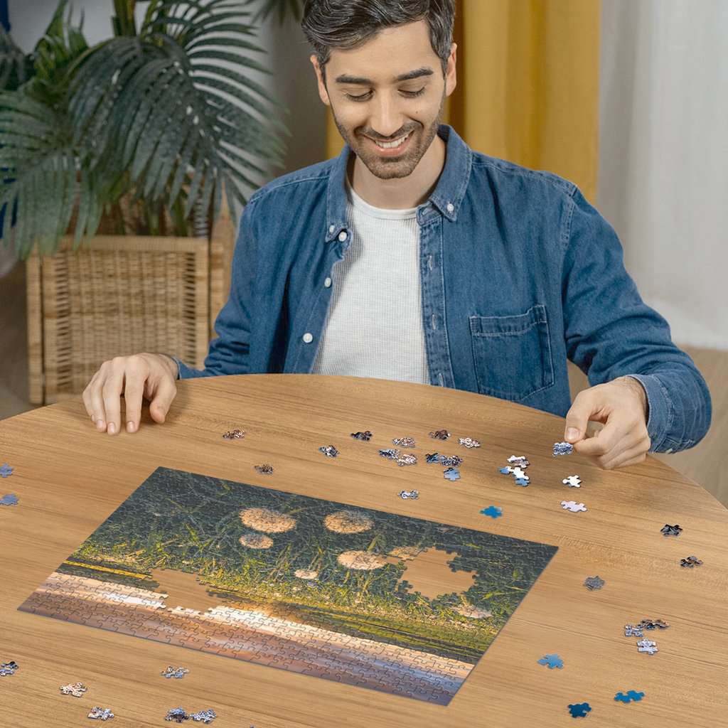 Ravensburger - Dandelions At Sunset Puzzle 500 Piece Jigsaw - New Version - New Version - Good Games