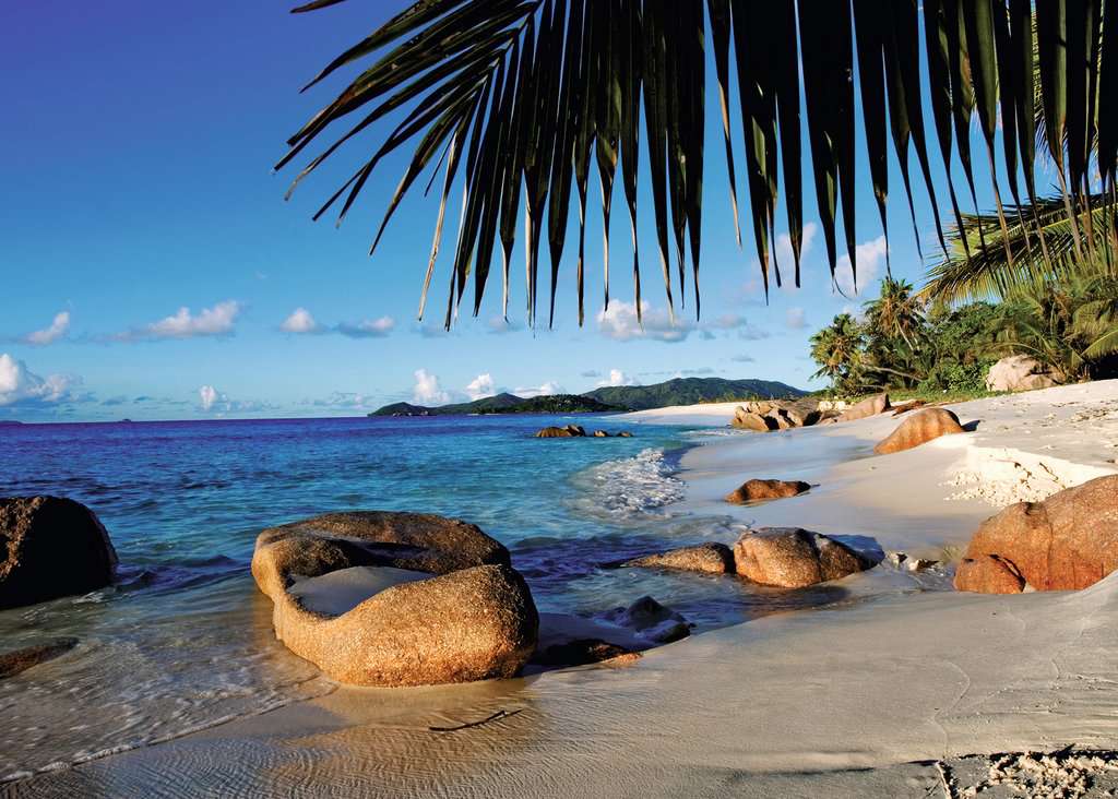 Ravensburger - Under The Palm Trees 1000 Piece Jigsaw - New Version - Good Games