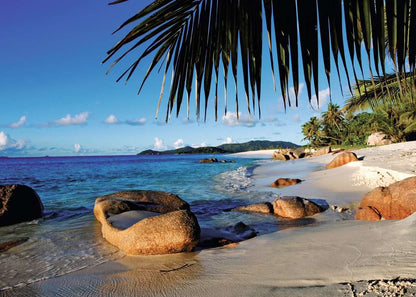 Ravensburger - Under The Palm Trees 1000 Piece Jigsaw - New Version - Good Games