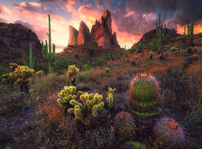 Ravensburger - WT Cactus 500 Piece Jigsaw - Good Games