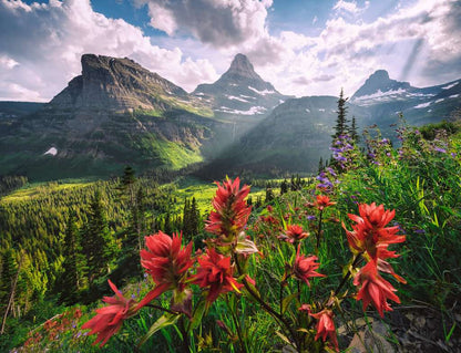 Ravensburger - WT: Landscape 2000 Piece Jigsaw - Good Games