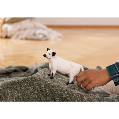 Schleich - Galloway Cow - Good Games