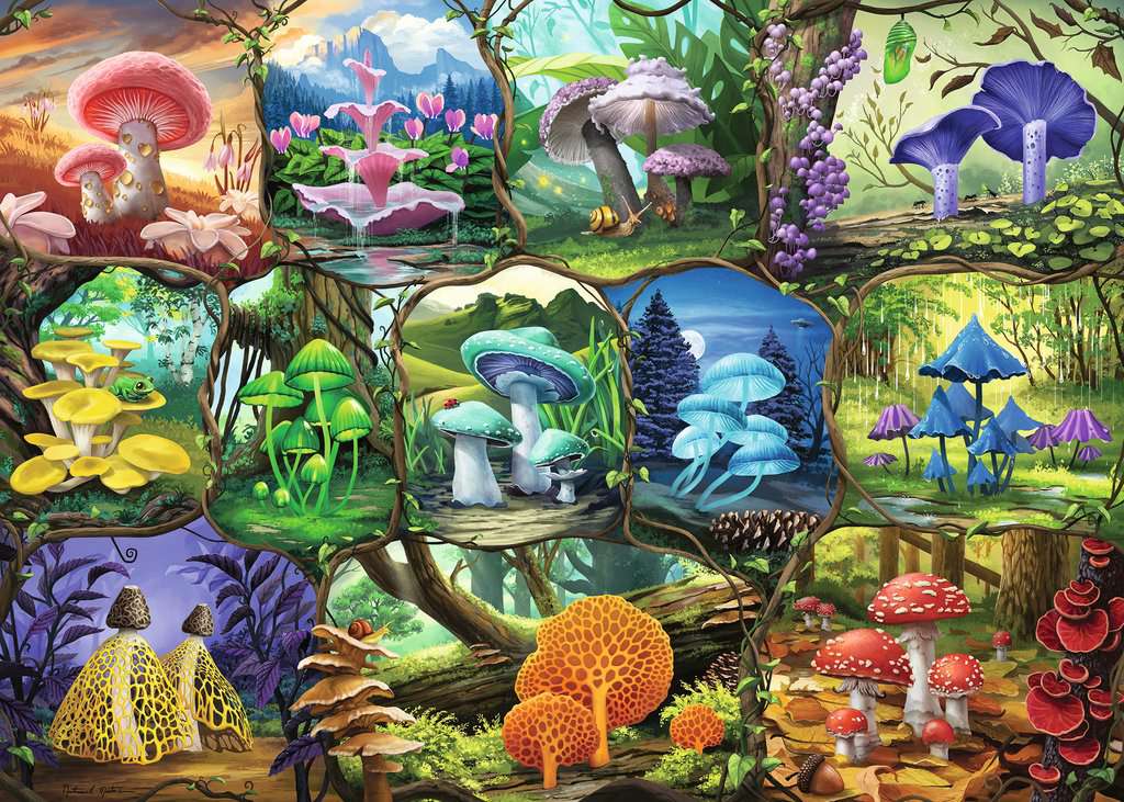 Ravensburger - Beautiful Mushrooms 1000 Piece Jigsaw - Good Games
