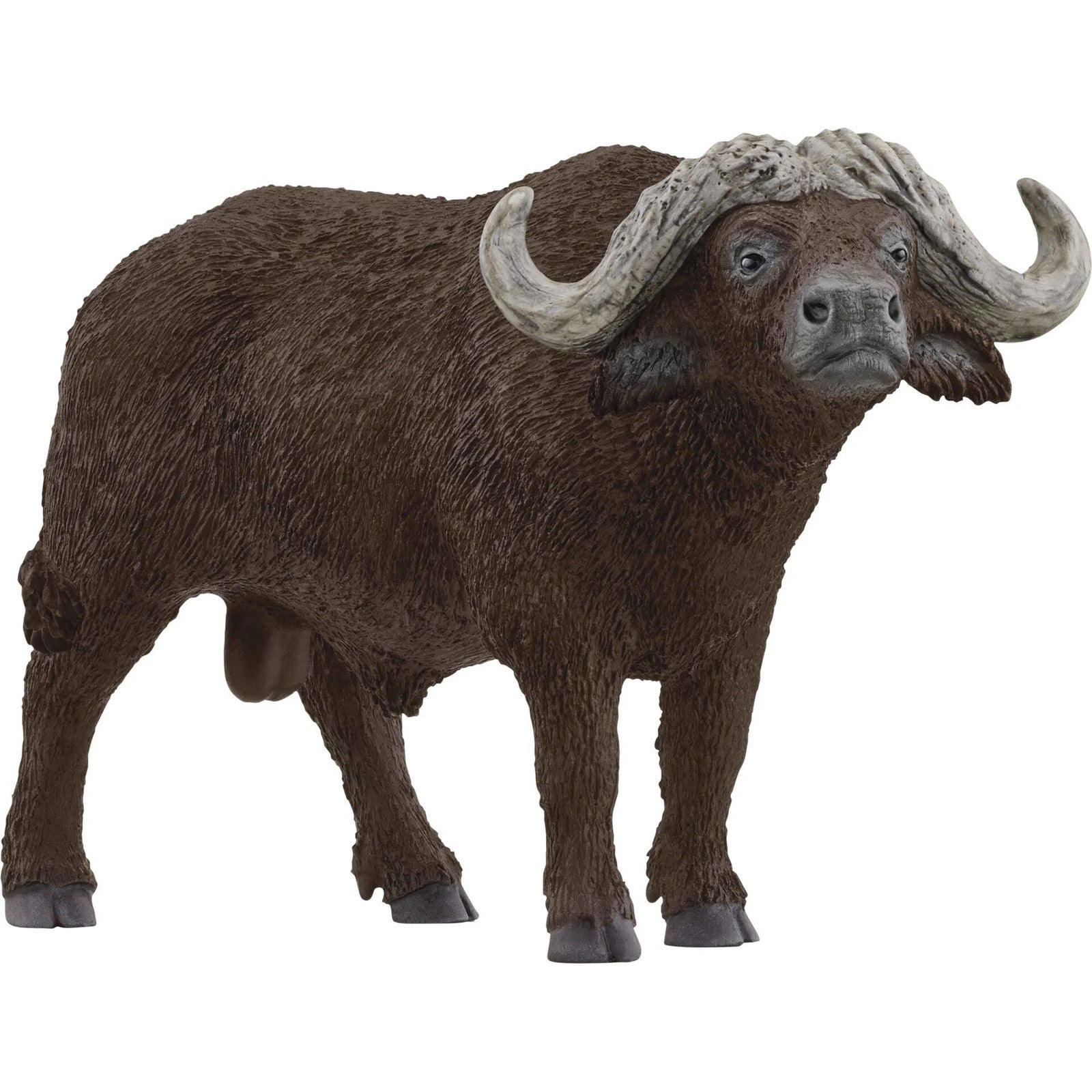 Schleich - African Buffalo - Good Games