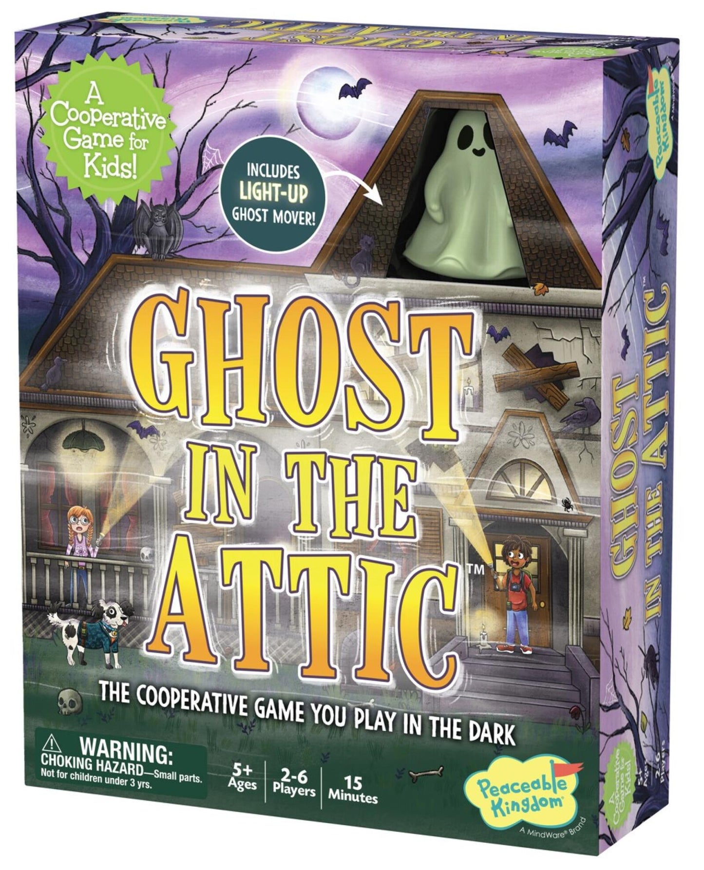 Ghost in the Attic Cooperative Game