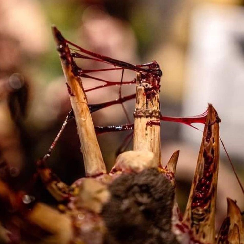 Dirty Down - Gore 15ml - Good Games