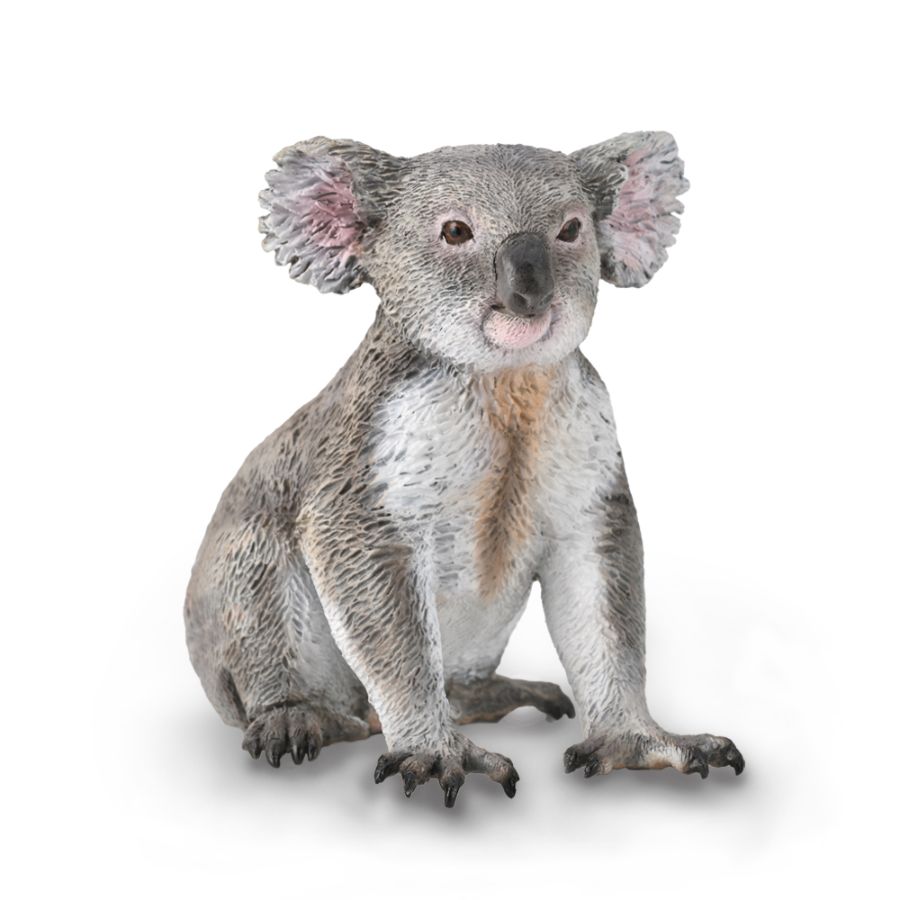 Collecta Koala (M) - Good Games