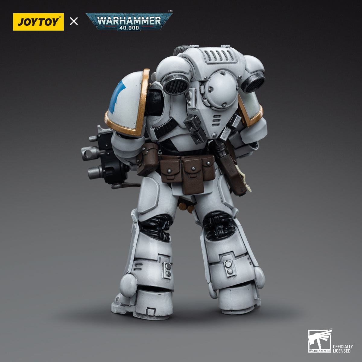 Warhammer Collectibles: 1/18 Scale Space Marines White Consuls Intercessors 1