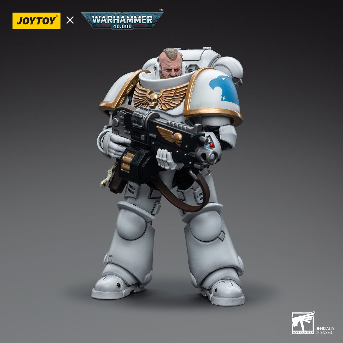 Warhammer Collectibles: 1/18 Scale Space Marines White Consuls Intercessors 2
