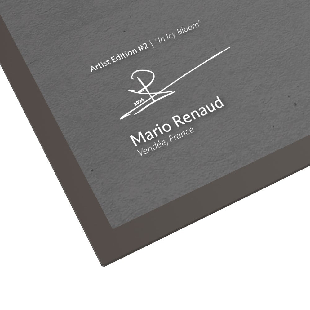Ultimate Guard: Binder – Collectors Album and Case Artist Edition #2 – Mario Renaud: In Icy Bloom