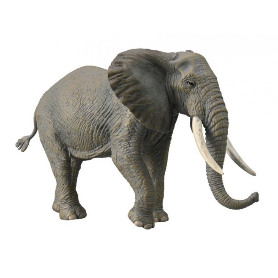 Collecta African Elephant (Xl) - Good Games