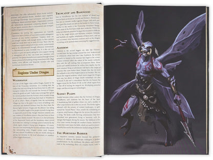 Dungeons & Lasers: The World Of Deuslair: Rpg Campaign (Hardcover) - Good Games