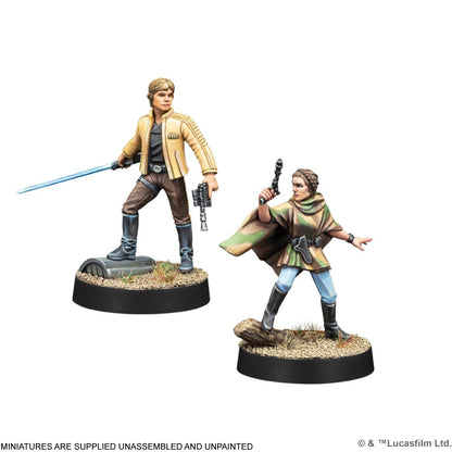 Painted miniatures of Luke Skywalker (lightsaber) and Leia Organa (camo poncho, blaster)