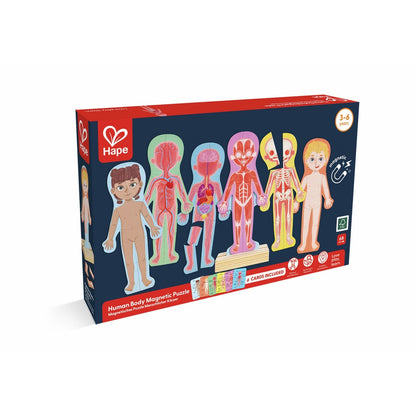 Hape Human Body Magnetic Puzzle box. Six figures illustrate human anatomy layers: skin, muscles, organs, and skeleton.