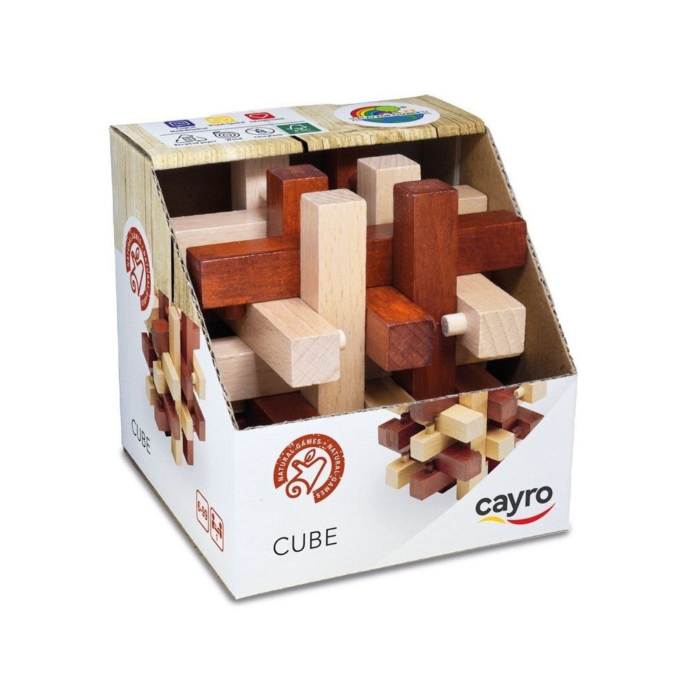 Cube Puzzle Cube 10 x 10