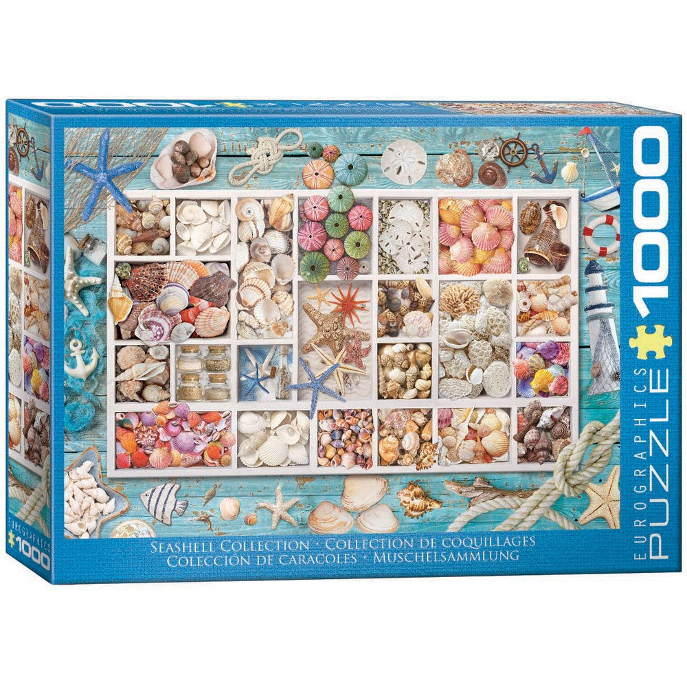 Seashell Collection 1000 Piece Puzzle