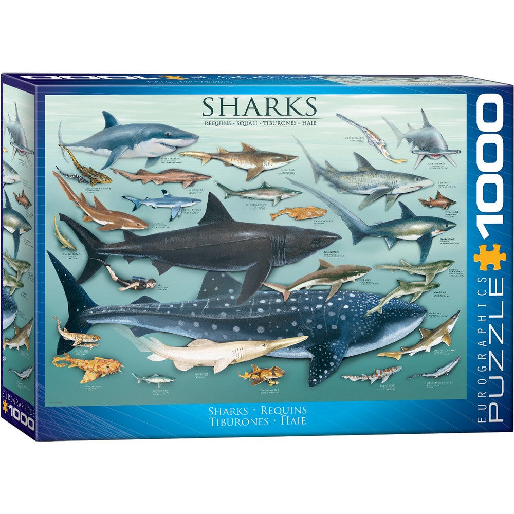 Eurographics - Sharks 1000 Piece Puzzle