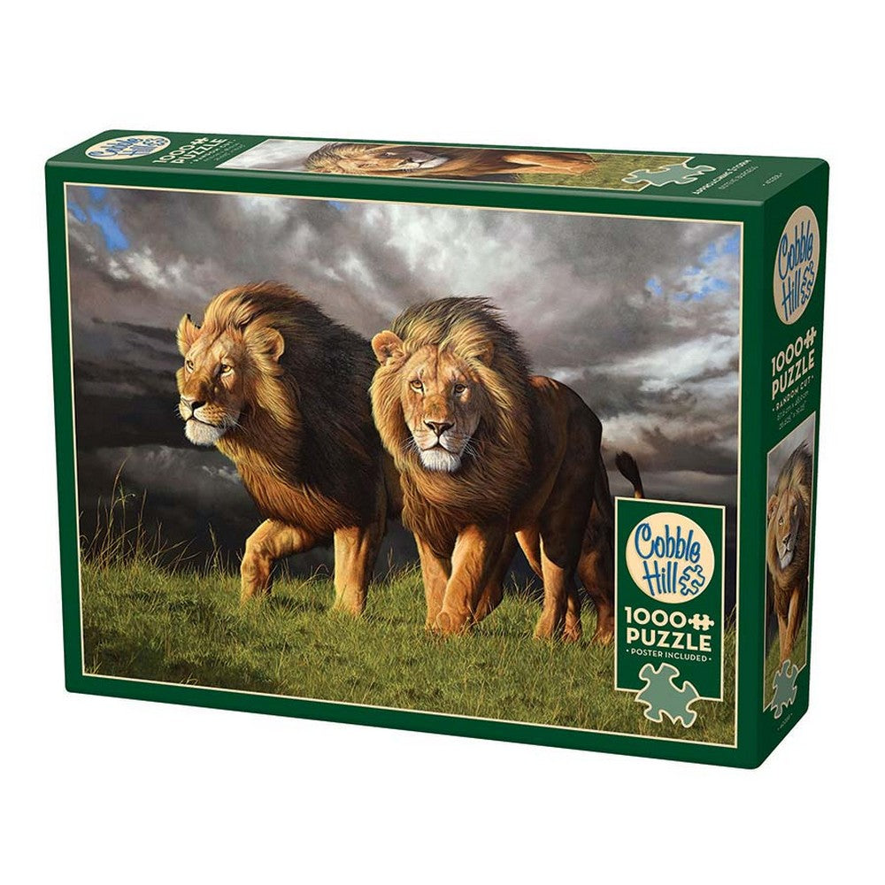 Approaching Storm 1000 Piece Puzzle