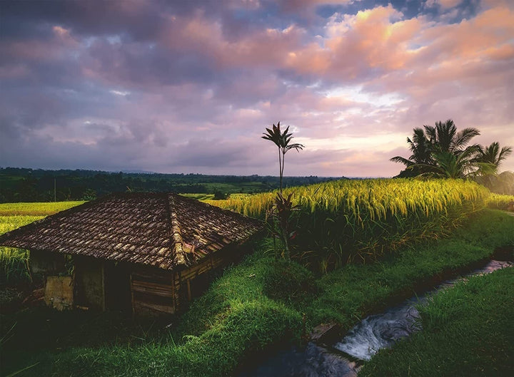 Ravensburger - Bali Rice Fields 500 Piece Jigsaw - Good Games