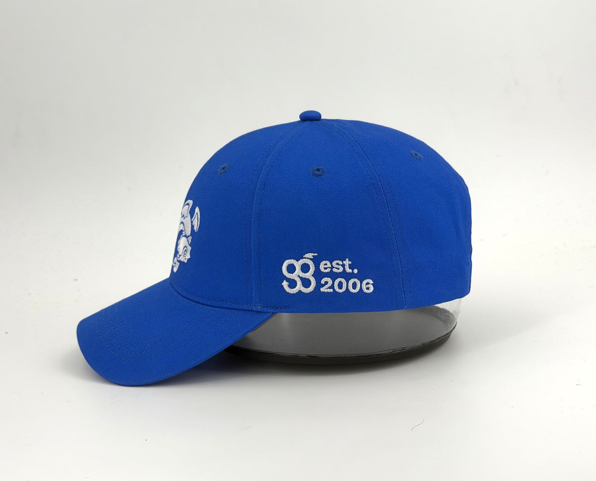 Good Games 20th Birthday - Hats