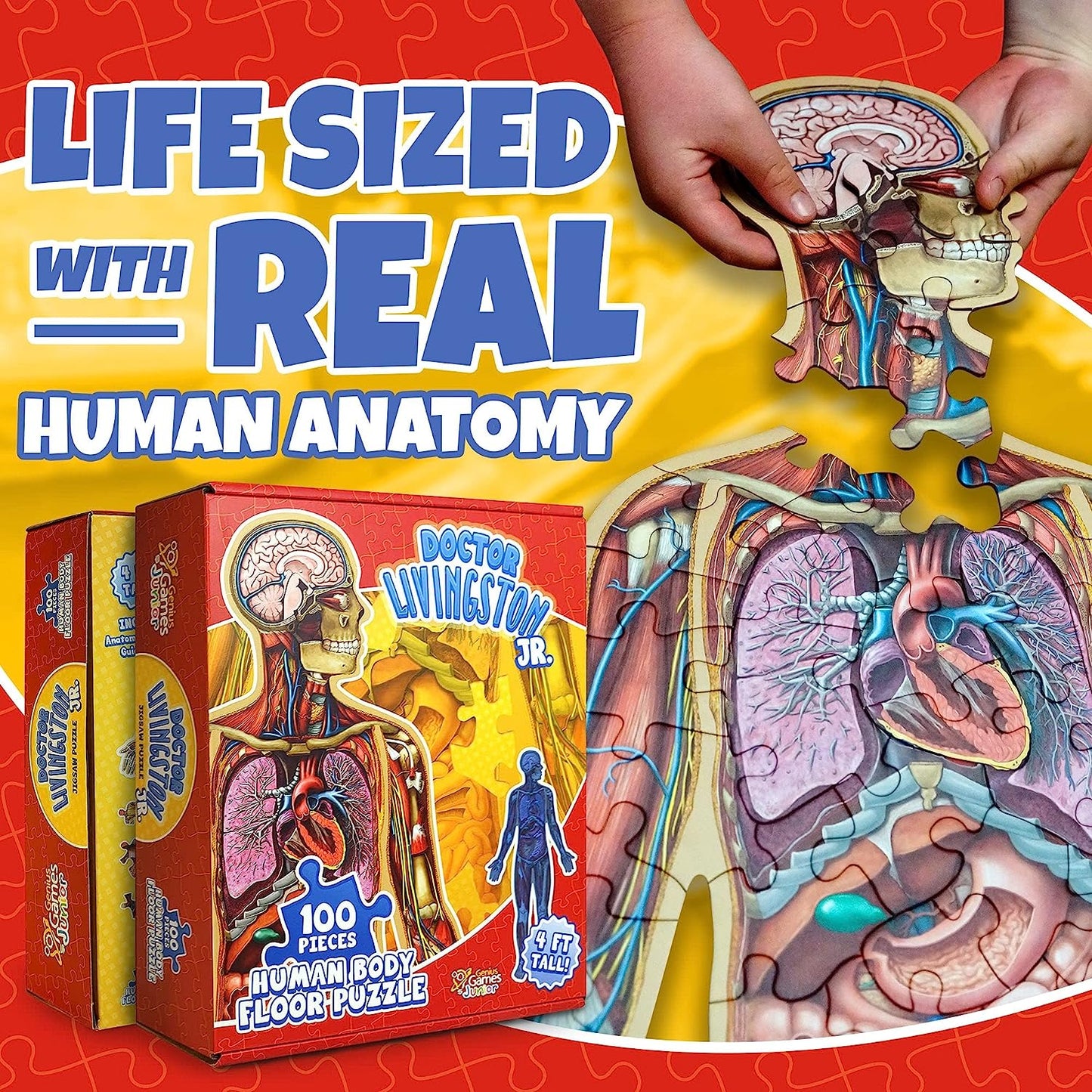 Hands assembling a 'Life Sized' human anatomy floor puzzle. The large puzzle reveals internal organs; product boxes are shown