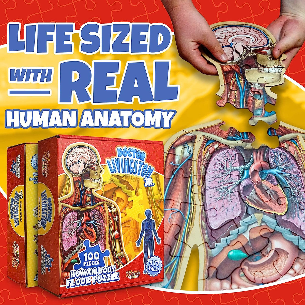 Hands assembling a &#39;Life Sized&#39; human anatomy floor puzzle. The large puzzle reveals internal organs; product boxes are shown