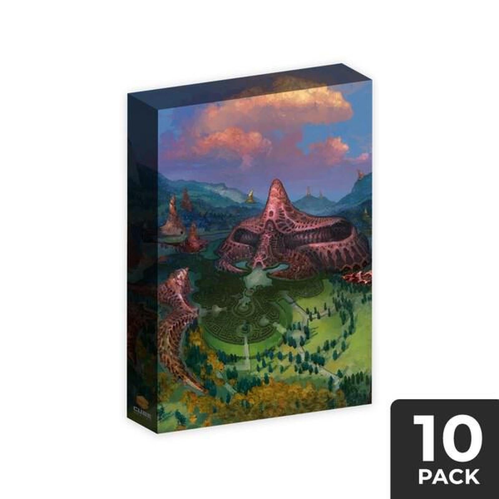 Box with fantasy art of a sprawling organic structure above a circular maze in a green valley under an orange sky, marked '10 PACK'