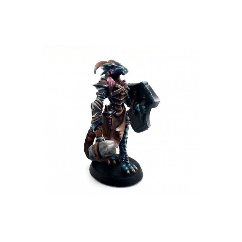 Reaper Bones USA Tarmiczi, Female Dragonblood Paladin - Good Games