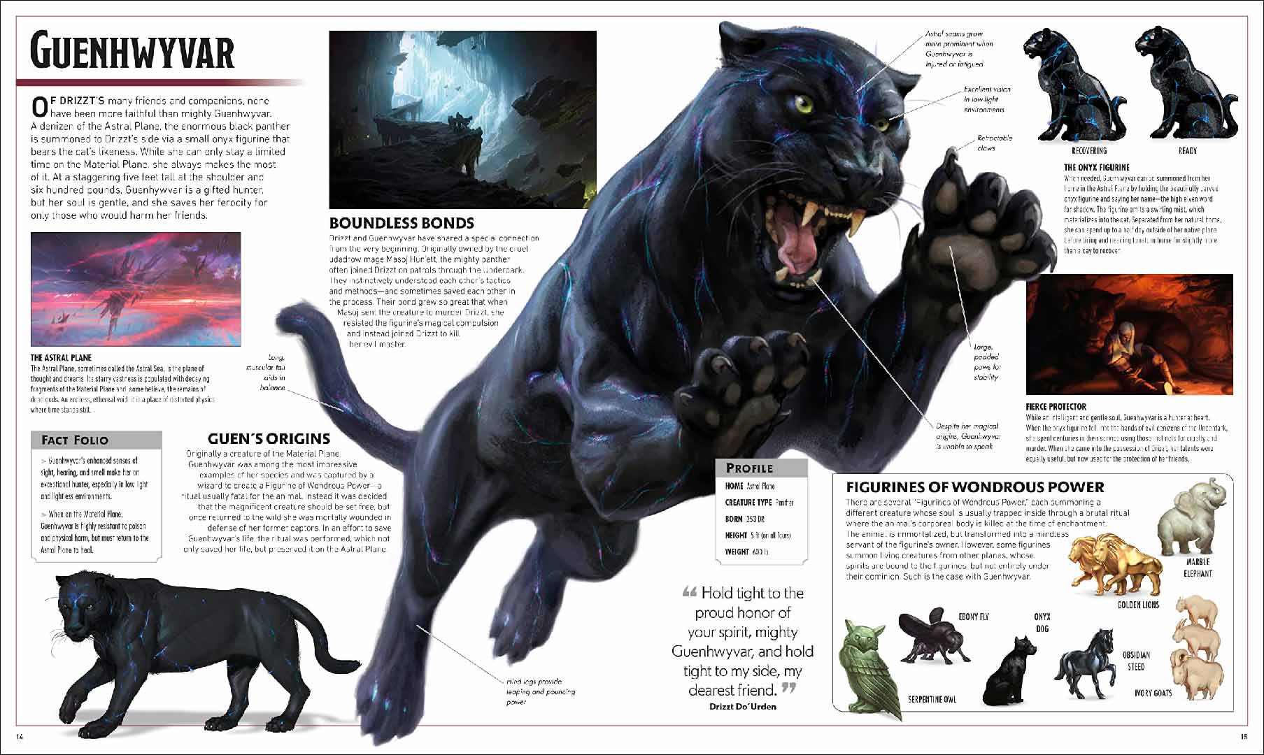 Dungeons & Dragons The Legend of Drizzt - Visual Dictionary - Good Games