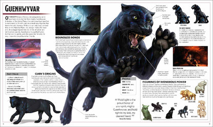Dungeons & Dragons The Legend of Drizzt - Visual Dictionary - Good Games