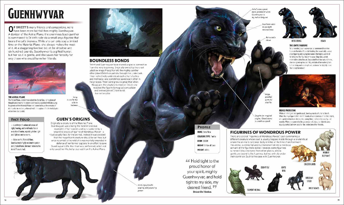 Dungeons &amp; Dragons The Legend of Drizzt - Visual Dictionary - Good Games