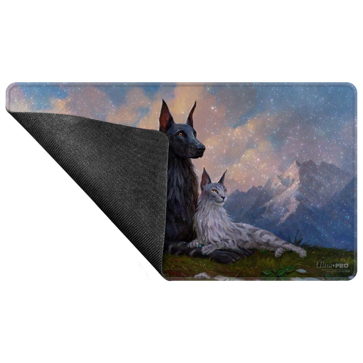 Black dog and grey lynx sit on a grassy hill under a starry sky with mountains