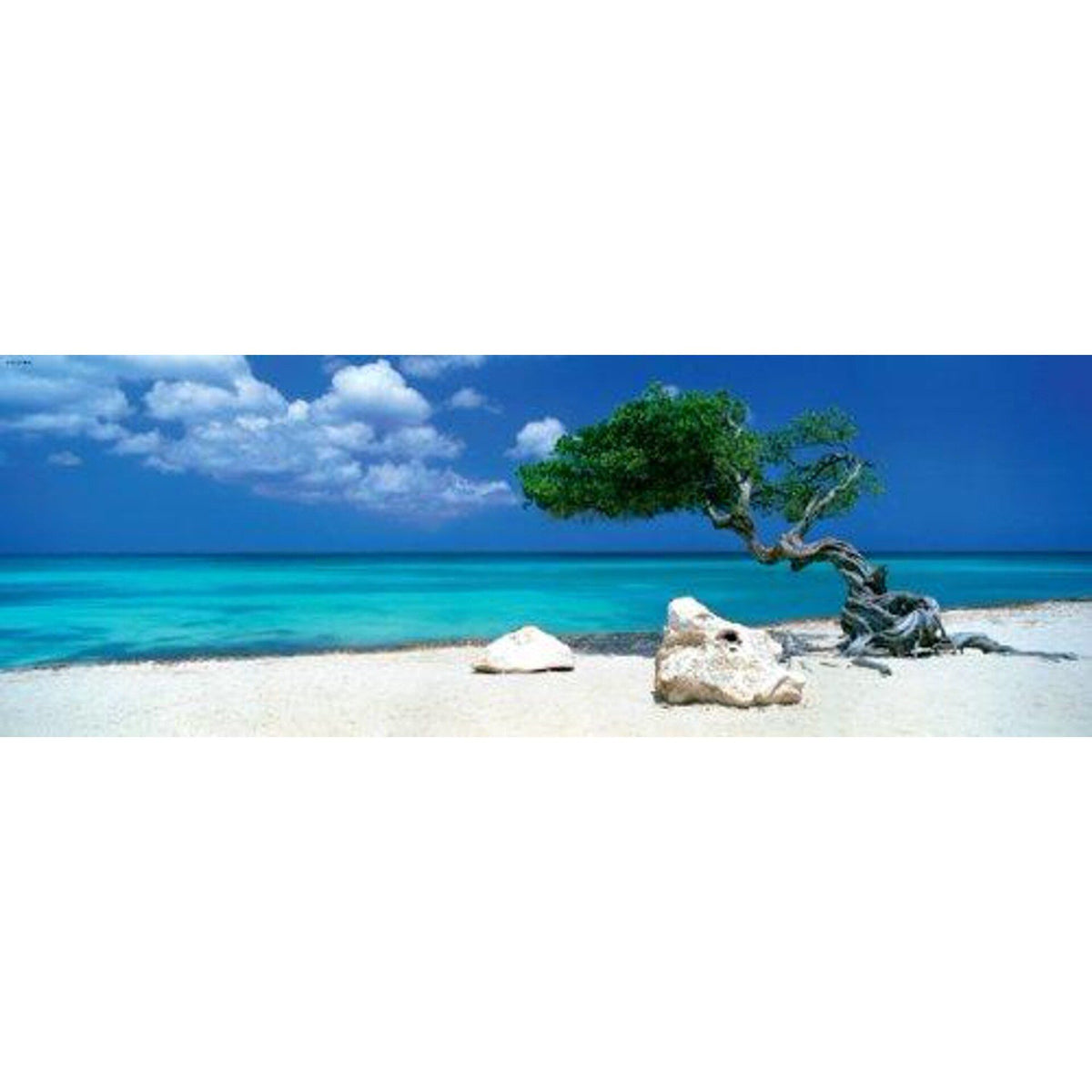 Heye - Panorama - Divi Divi Tree 1000 Piece Jigsaw - Good Games