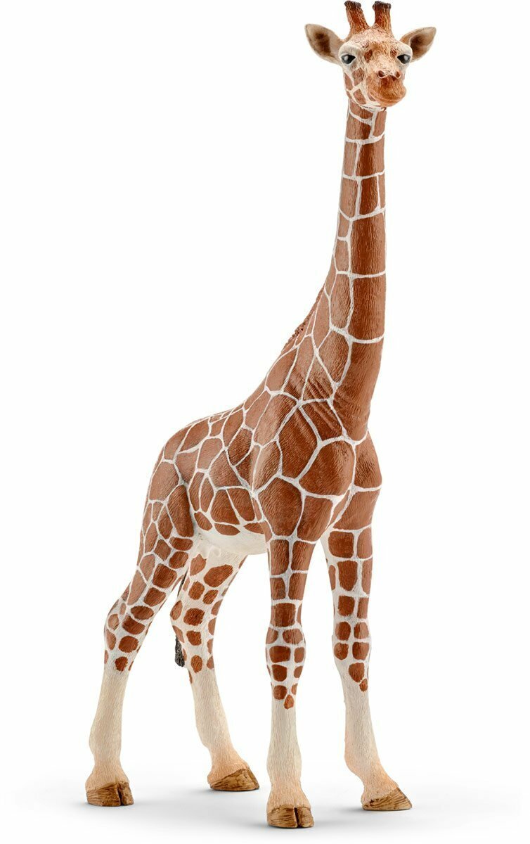 Schleich - Giraffe Female - Good Games