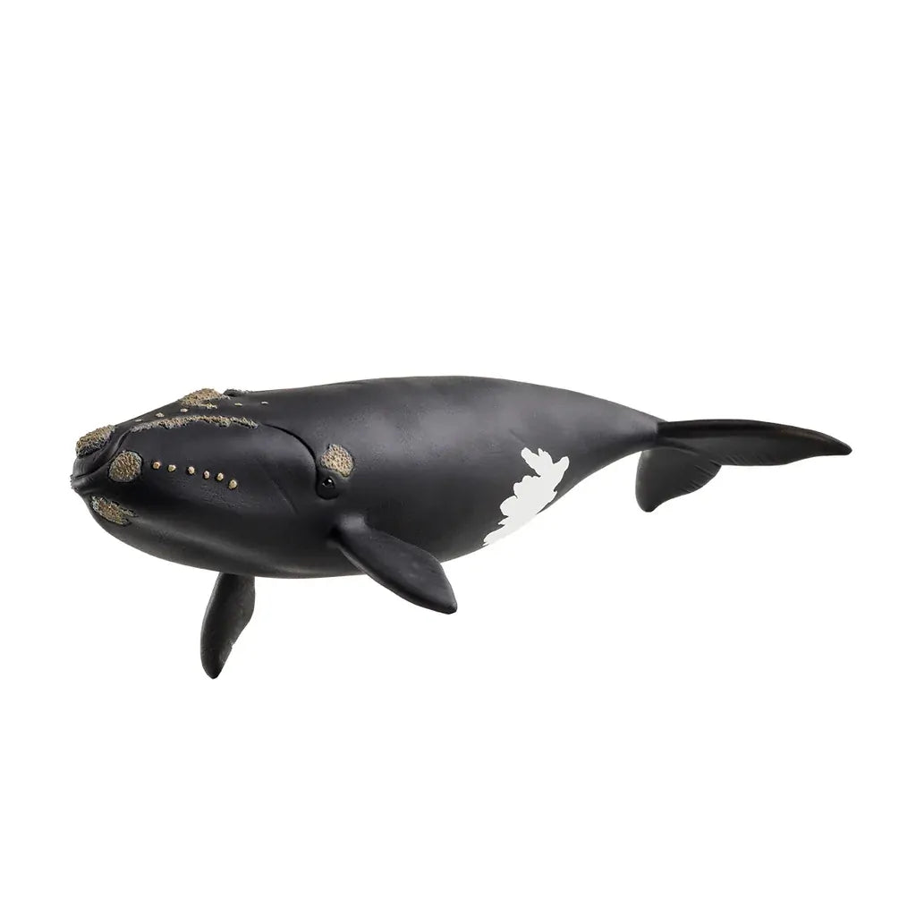 Schleich - North Atlantic Right Whale - Good Games