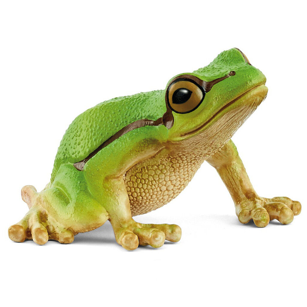 Schleich - European Tree Frog - Good Games