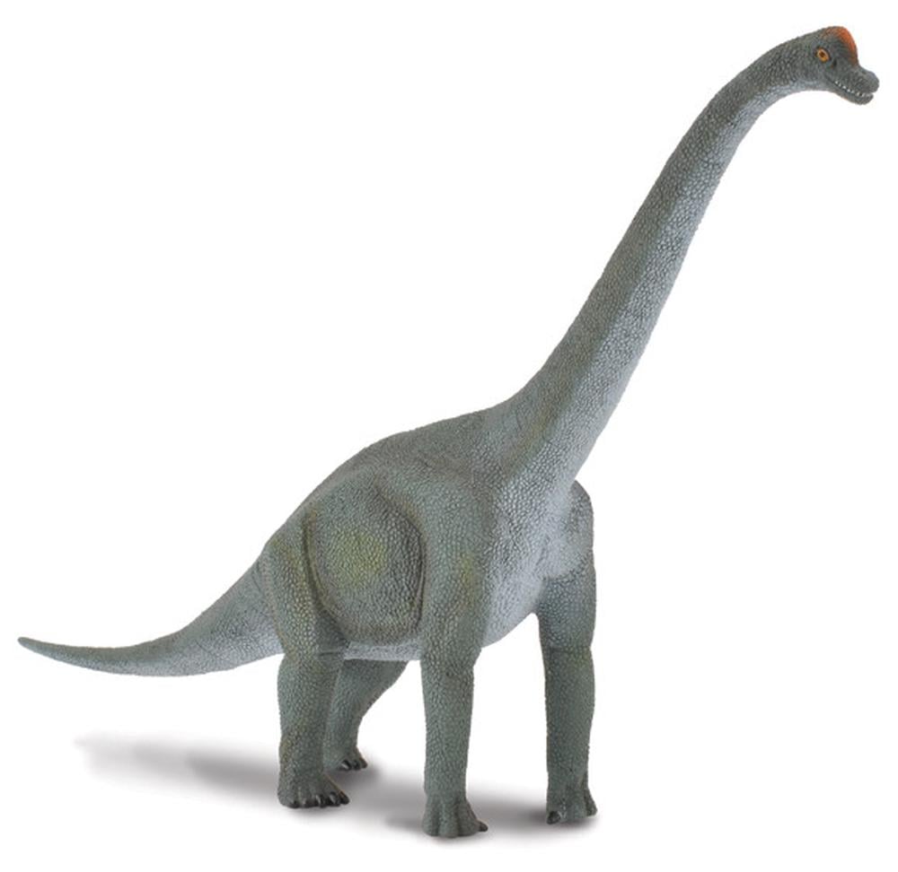 Collecta Brachiosaurus (L) - Good Games