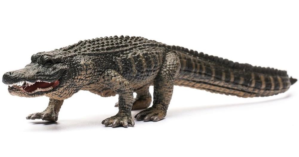 Collecta American Alligator - L - Good Games
