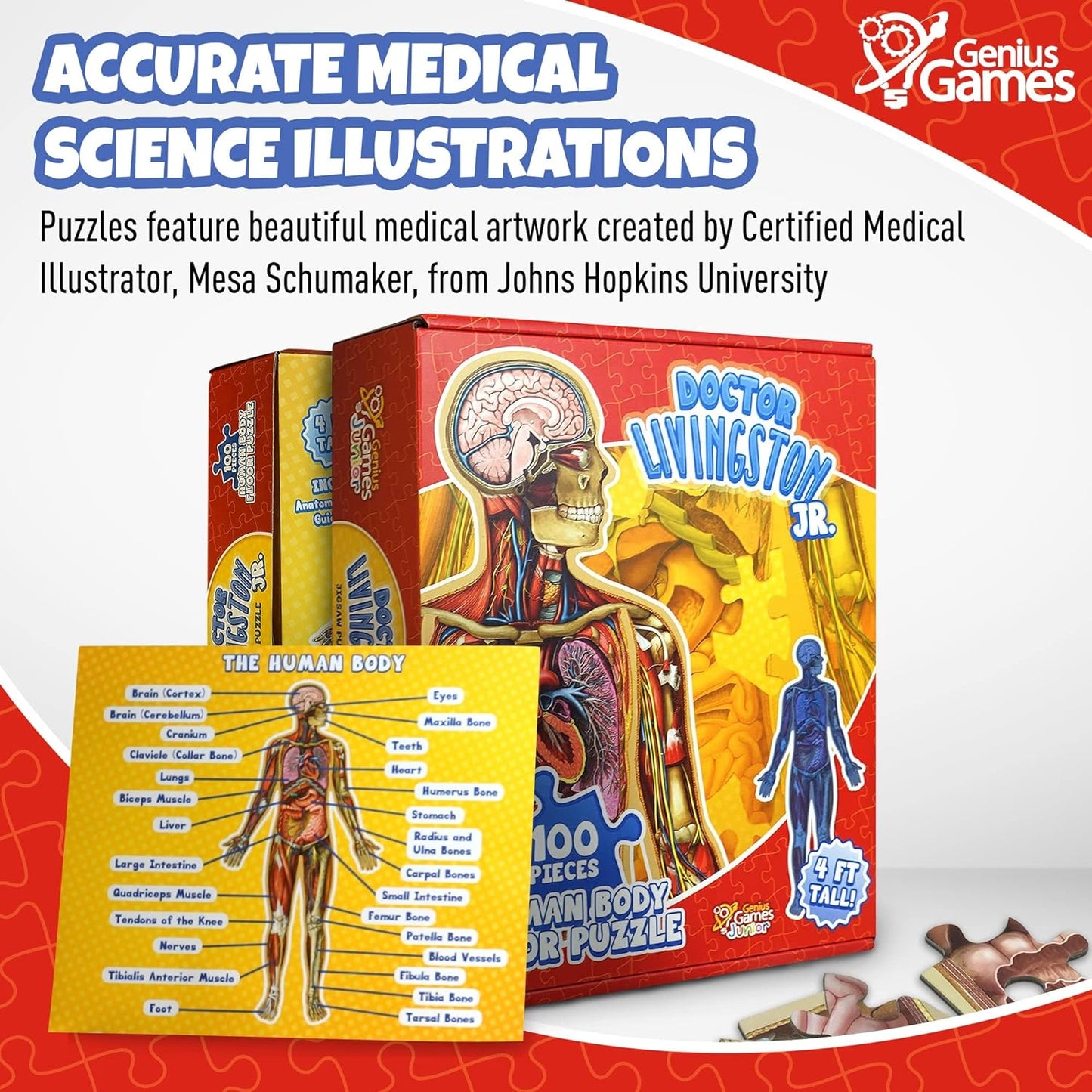 Doctor Livingston Jr. human body floor puzzle box with accurate anatomical illustrations, plus a labeled diagram