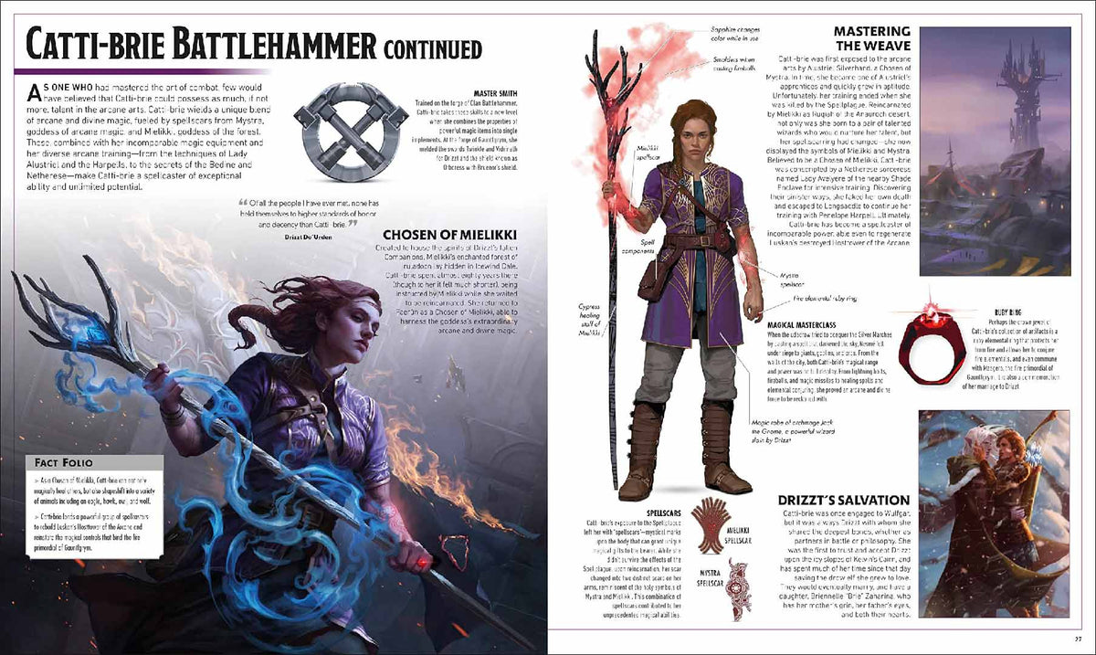 Dungeons &amp; Dragons The Legend of Drizzt - Visual Dictionary - Good Games