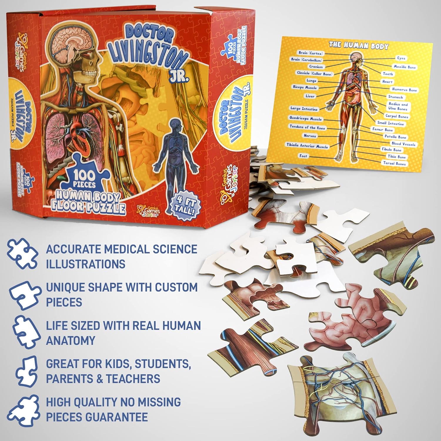 A Doctor Livingston Jr. 4 ft tall human body floor puzzle set, with its box, scattered pieces, and anatomy chart