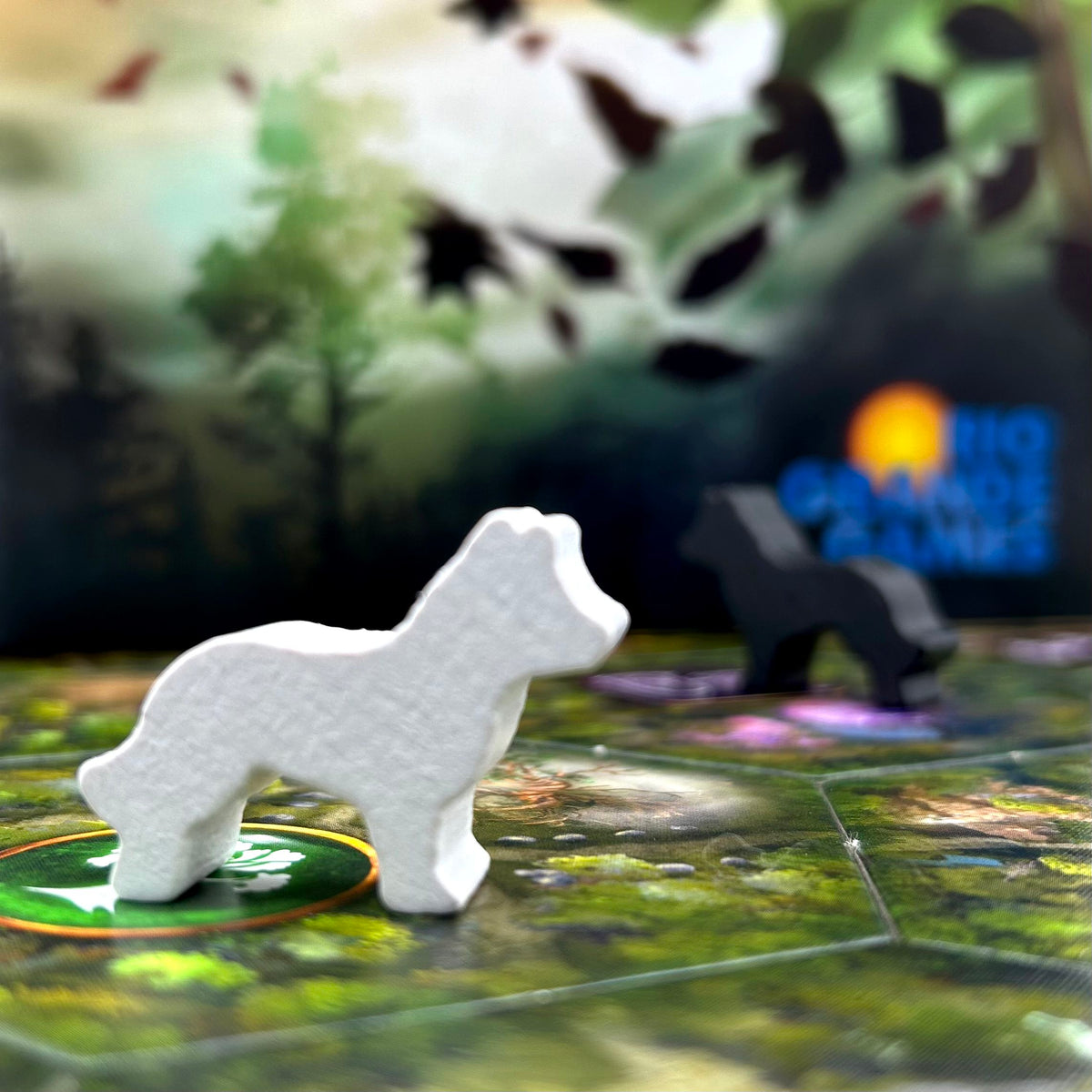 Game components including tokens, cards, and player boards