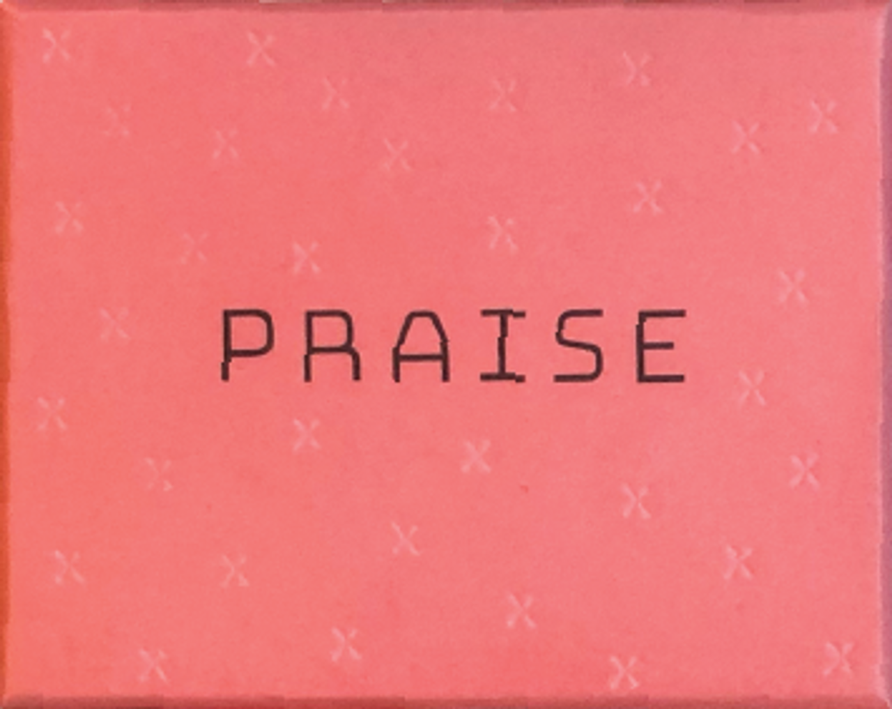 A pink rectangular Praise card game box with PRAISE in black letters and subtle x marks