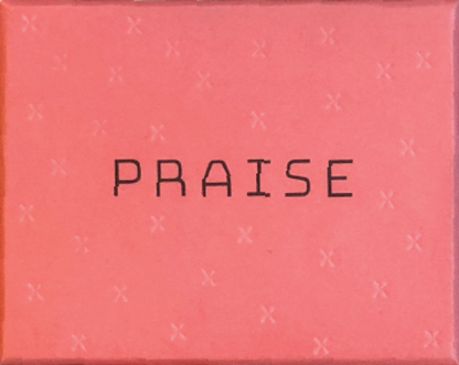 A pink rectangular Praise card game box with PRAISE in black letters and subtle x marks