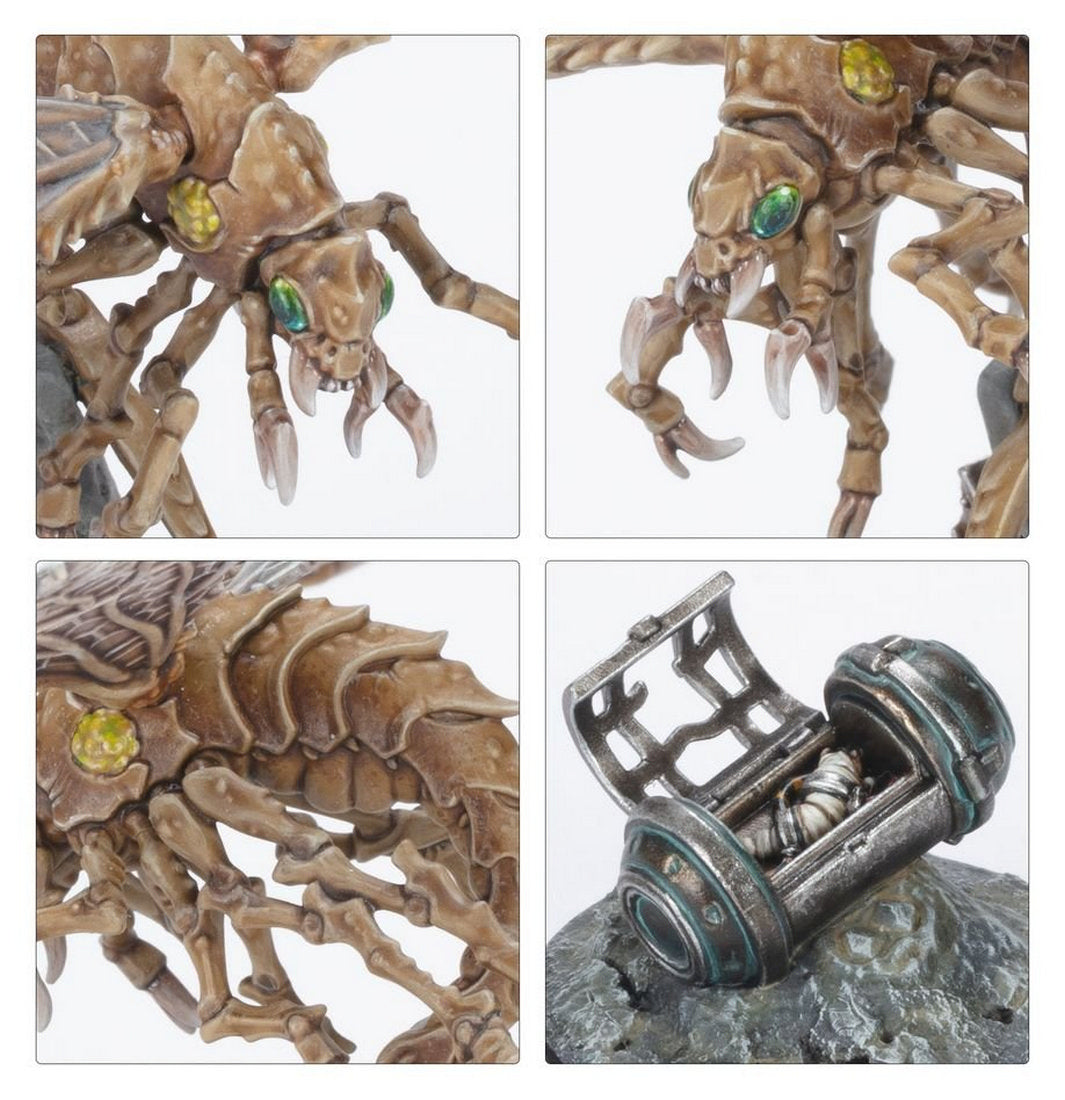Close-up miniature views: painted tan insectoid creature details and a larva in a metal containment pod